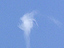 Images de tornade 10