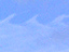 Verglas 01