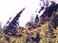 Images de tornade 10
