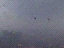 Webcams 14