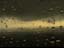 Webcams 10